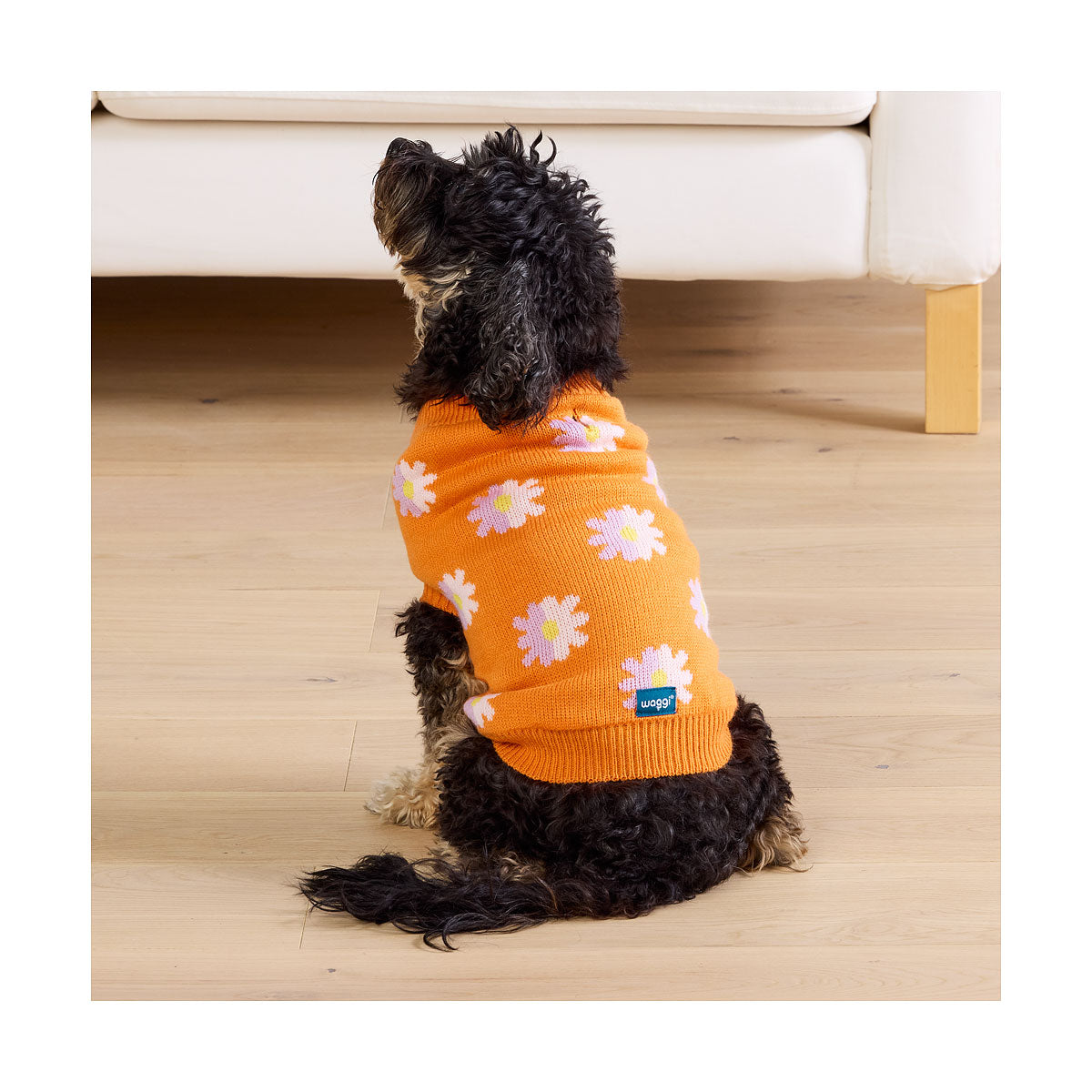 Waggi Pet Knit Orange Floral/Blue Spot 30/35/40/45cm