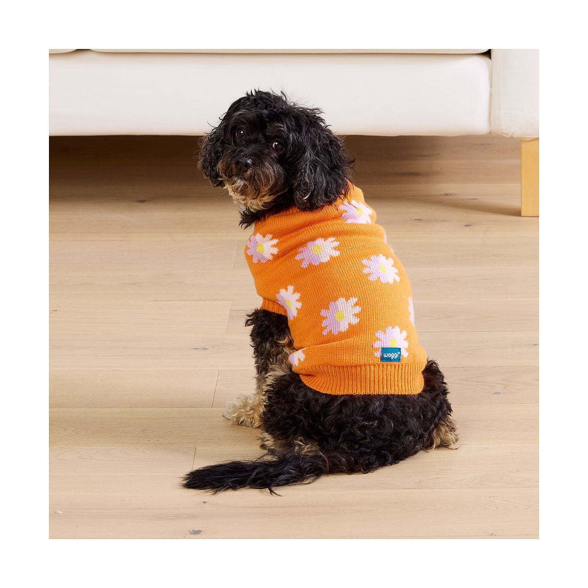 Waggi Pet Knit Orange Floral/Blue Spot 30/35/40/45cm