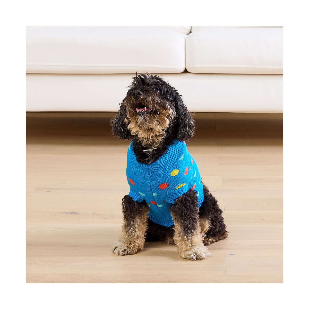 Waggi Pet Knit Orange Floral/Blue Spot 30/35/40/45cm