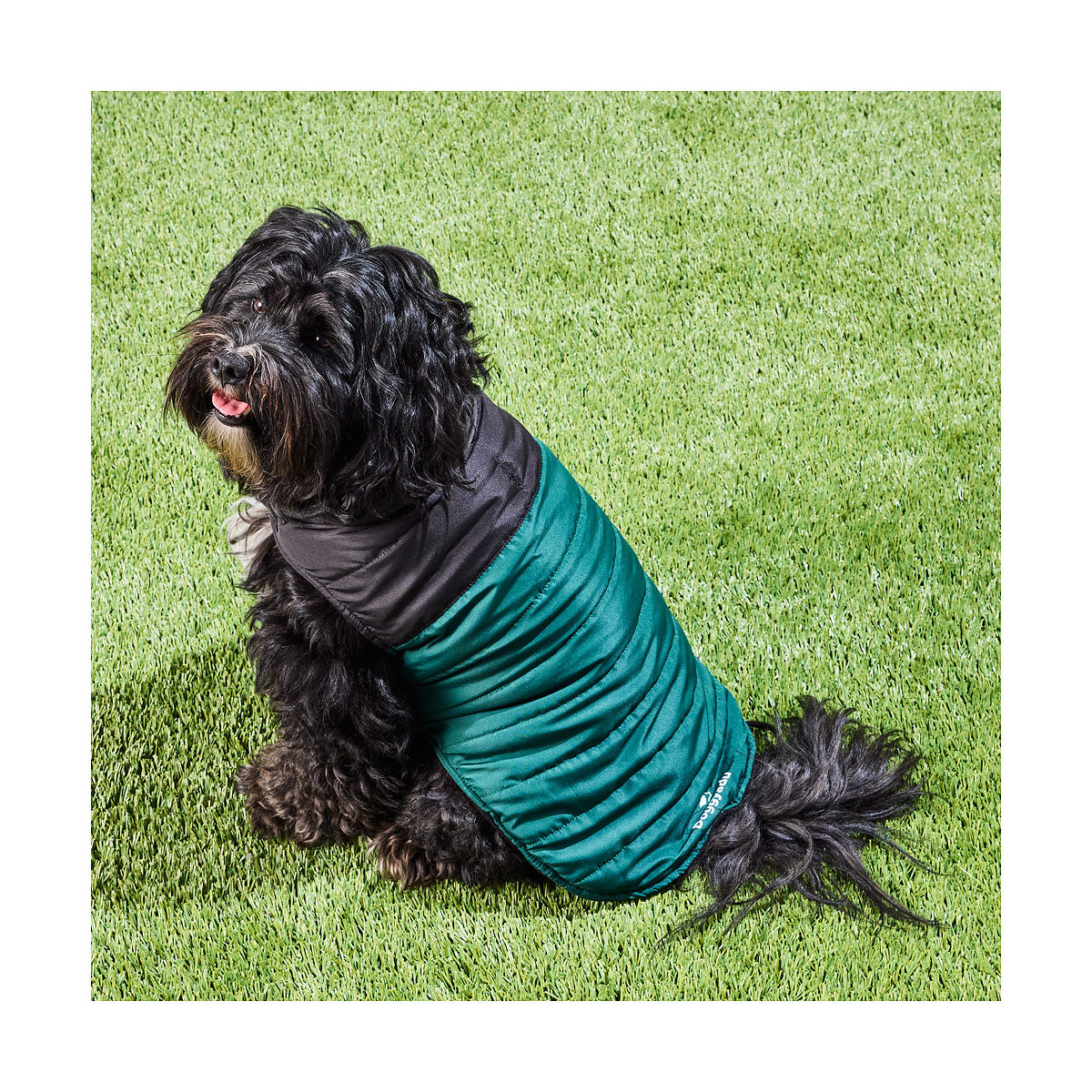 Waggi Pet Puffer Two-Tone Blue/Green 30/40/50cm