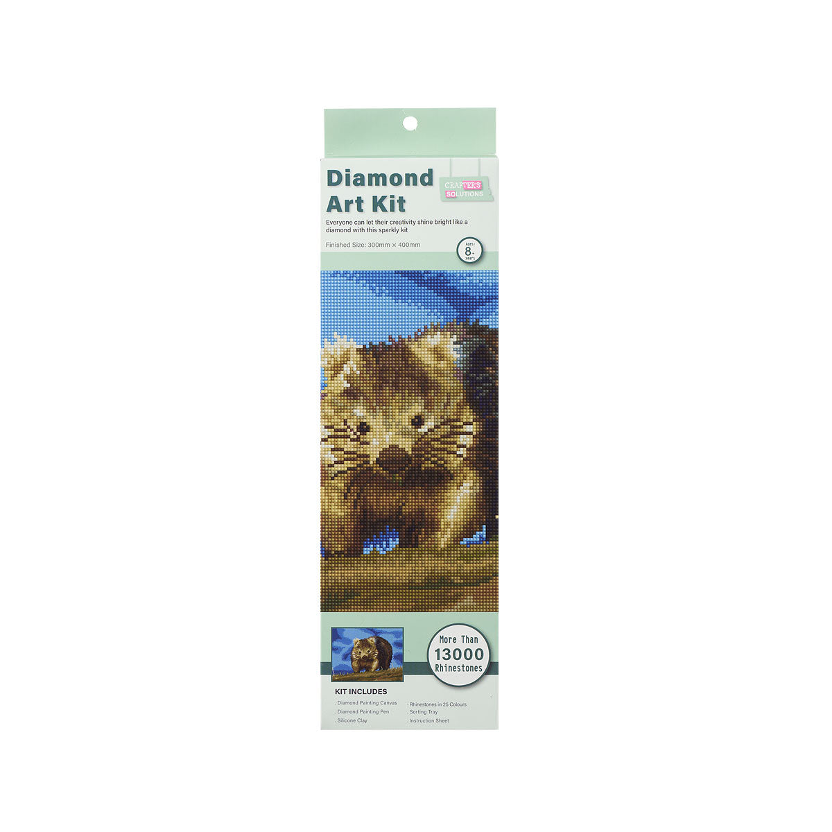 Diamond Art Canvas Series Assorted