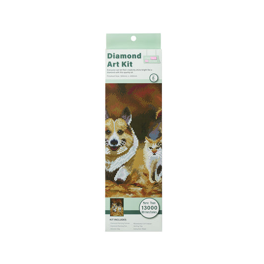 Diamond Art Canvas Series Assorted