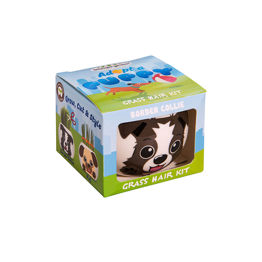 Grass Hair Kit Puppy Border Collie