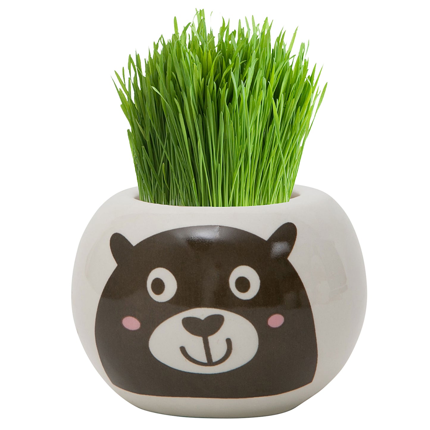 Grass Hair Kit Wild Bear