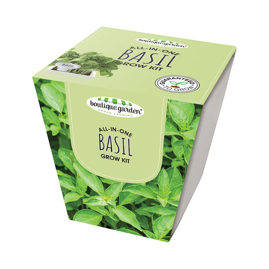 Ceramic Square Pot Sweet Basil