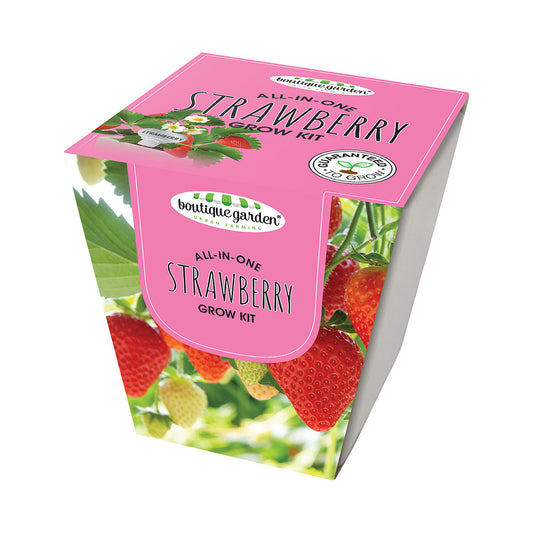 Ceramic Square Pot Strawberry