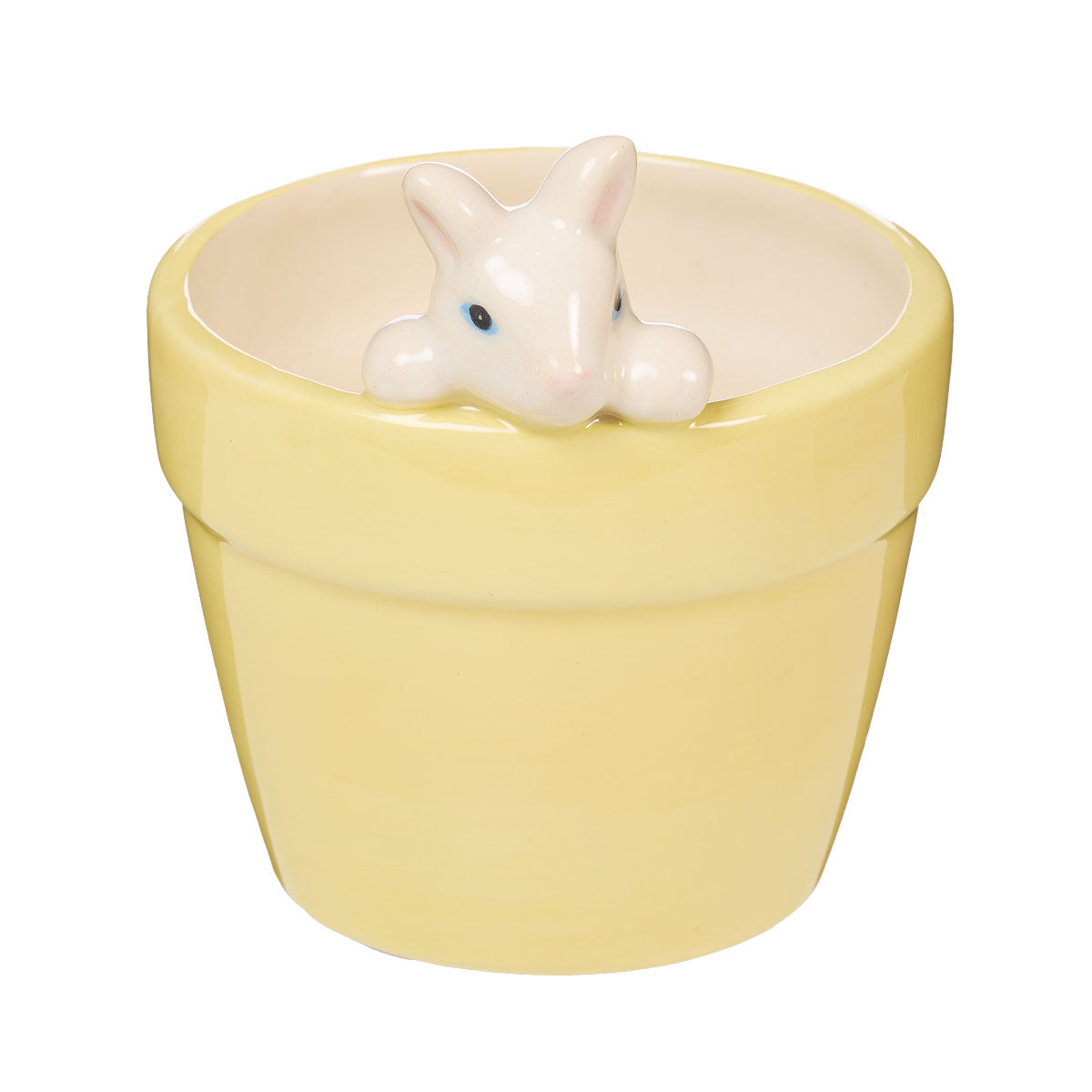 Easter Coloured Pot With Bunny Assorted