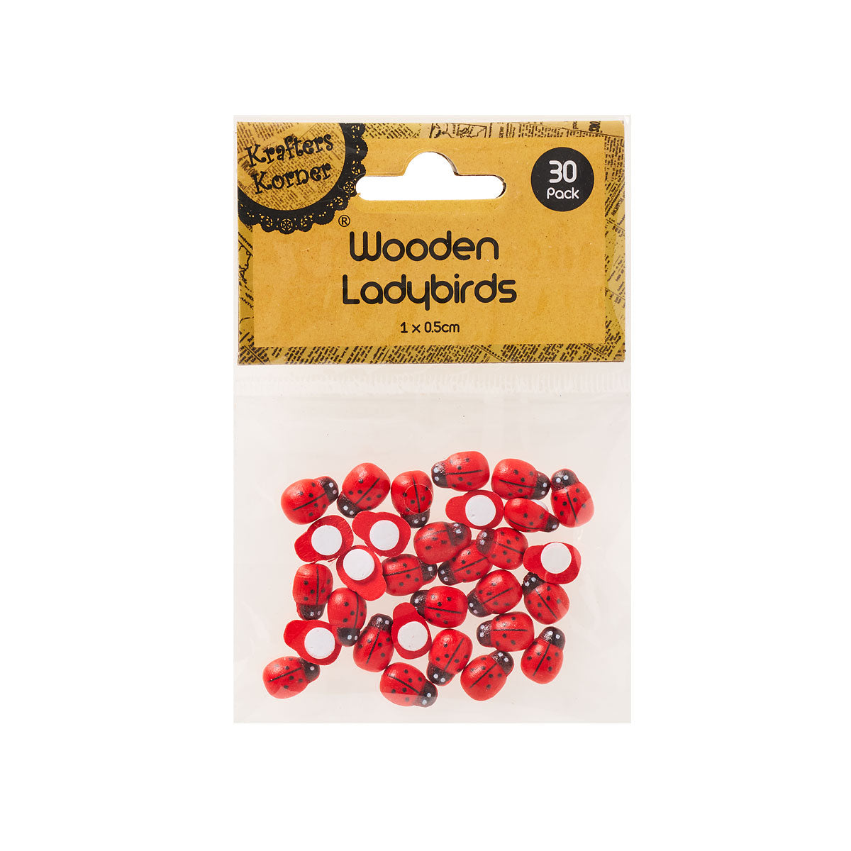 Craft Wood Insects Assorted