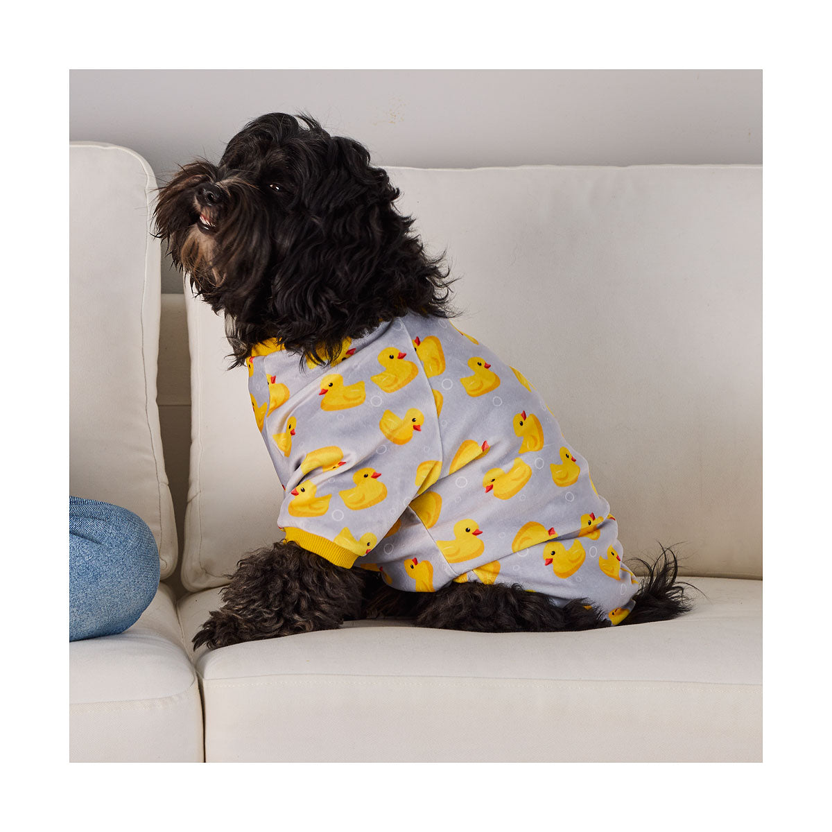 Novelty Pet Pyjamas Assorted