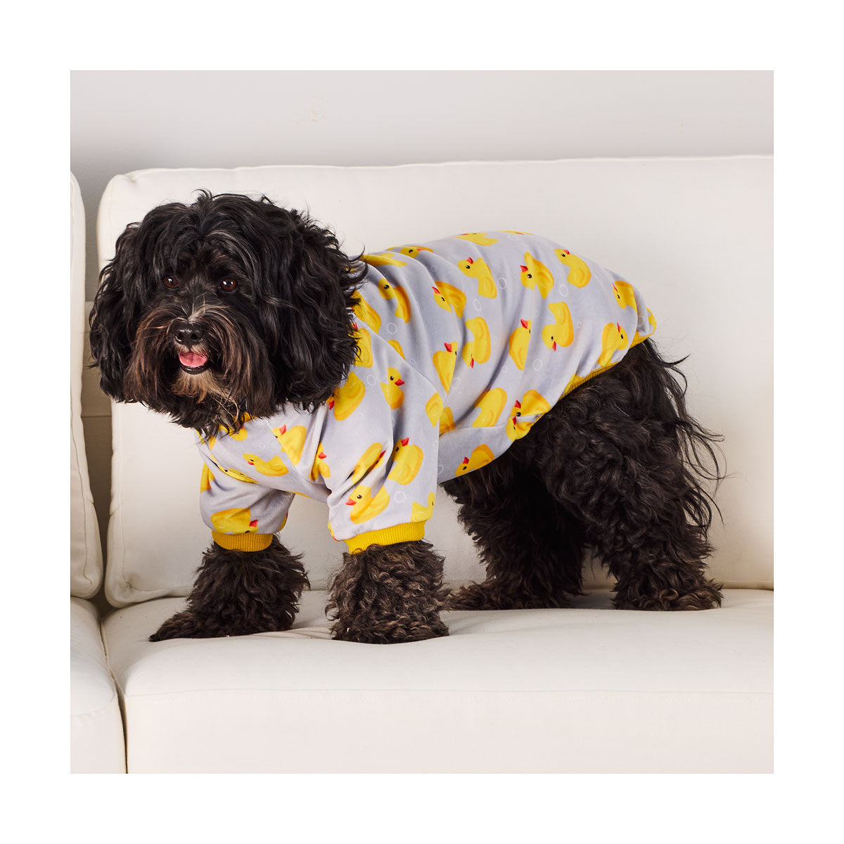 Novelty Pet Pyjamas Assorted