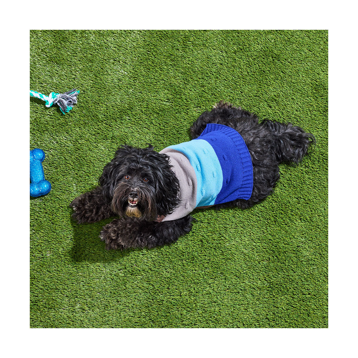 Pet Bobble Knit 30/40cm