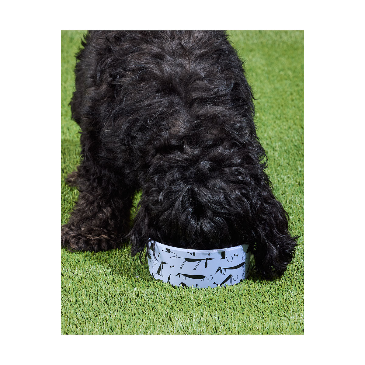 Dog Print Melamine Bowl 17cm