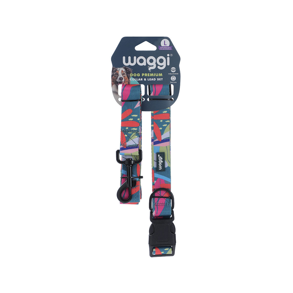Waggi Pet Collar/Lead Set