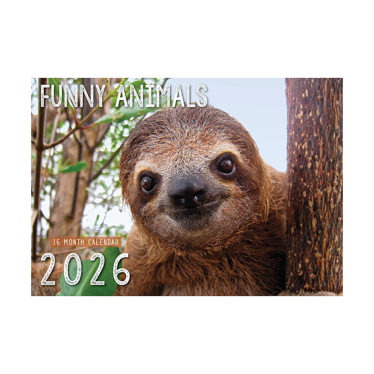 Calendar 2026 Assorted