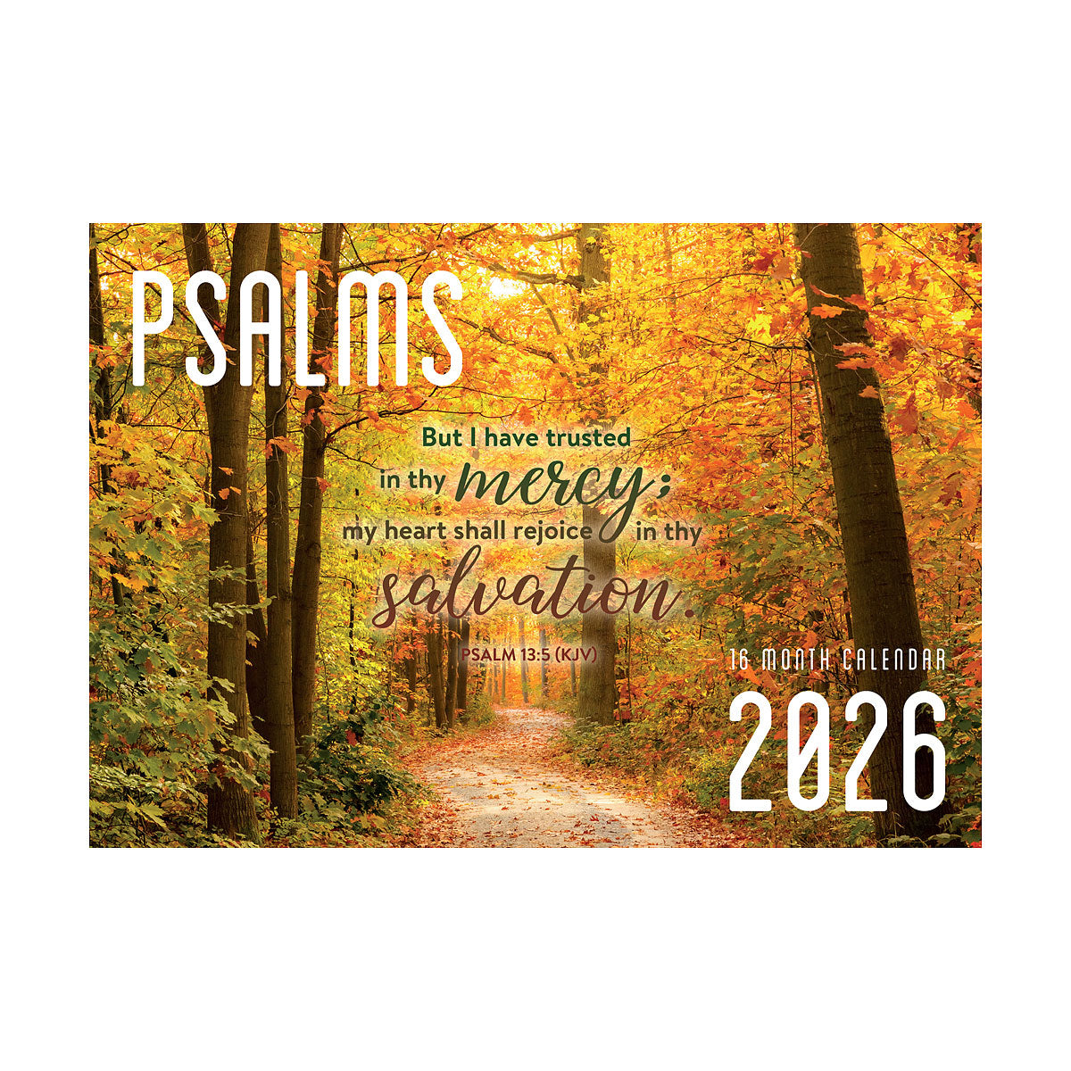 Calendar 2026 Assorted