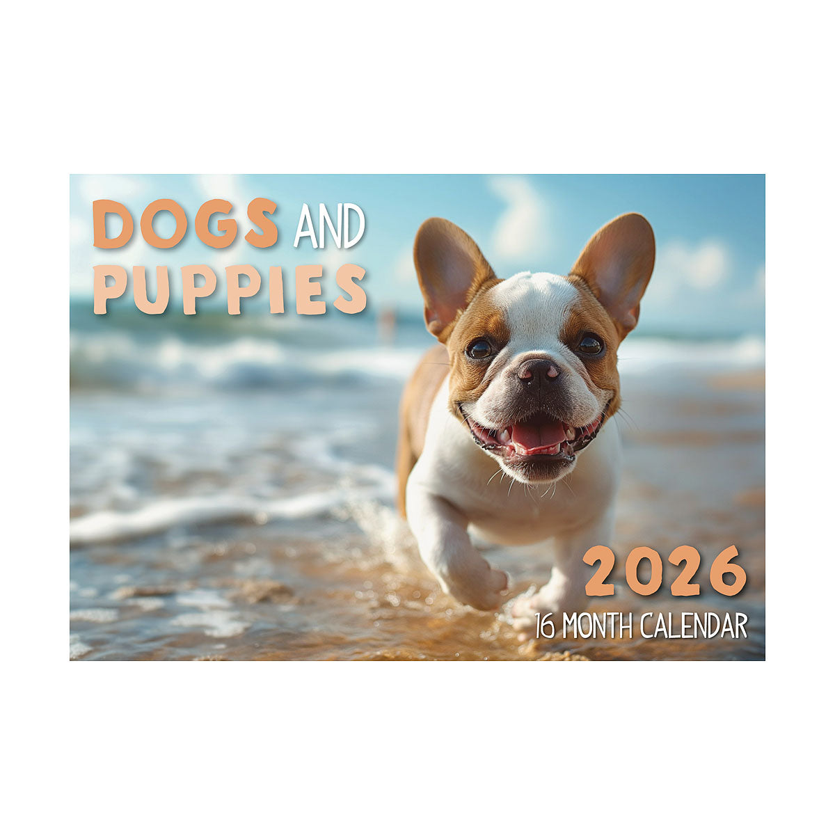 Calendar 2026 Assorted