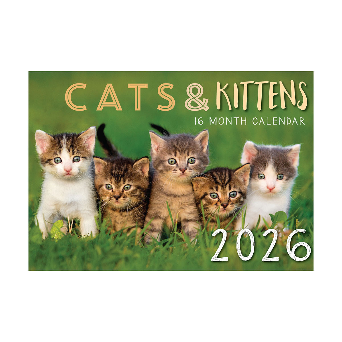 Calendar 2026 Assorted