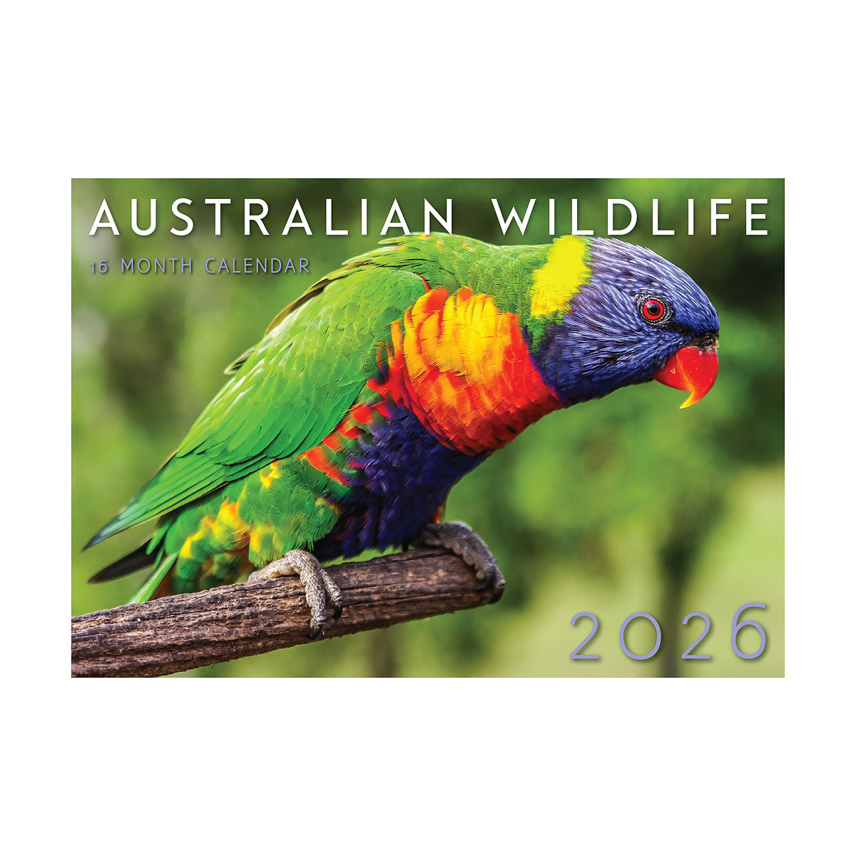 Calendar 2026 Assorted