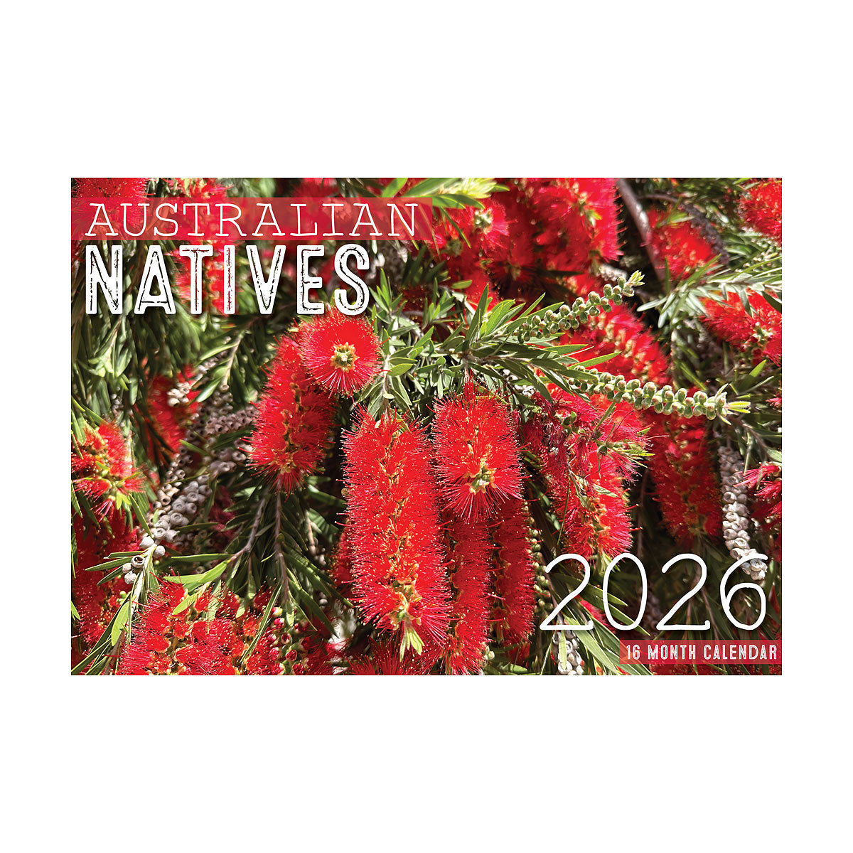 Calendar 2026 Assorted