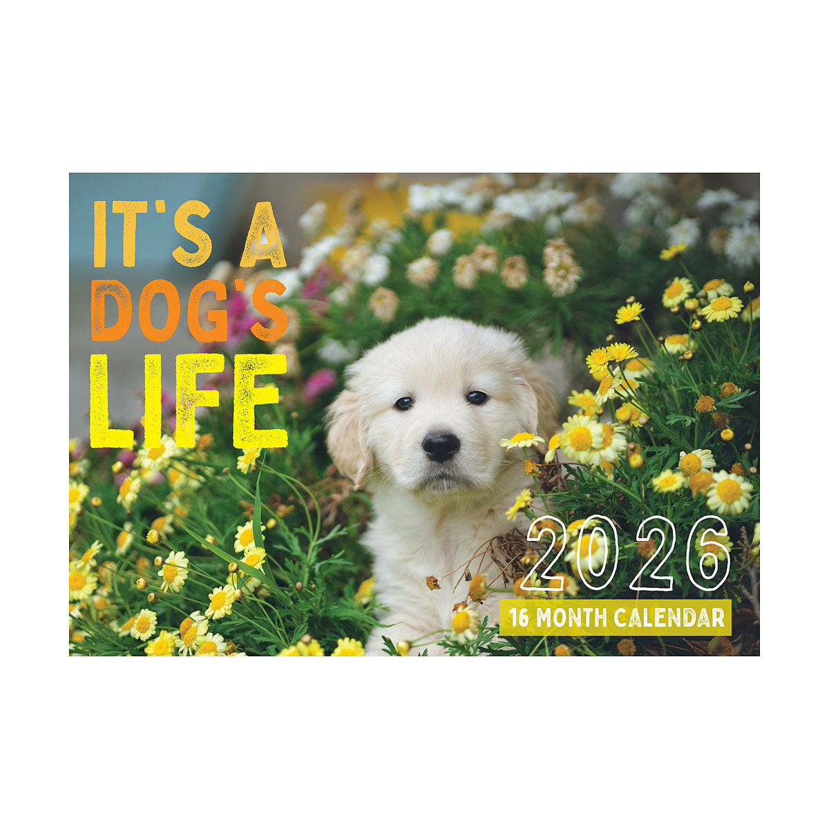 Calendar 2026 Assorted
