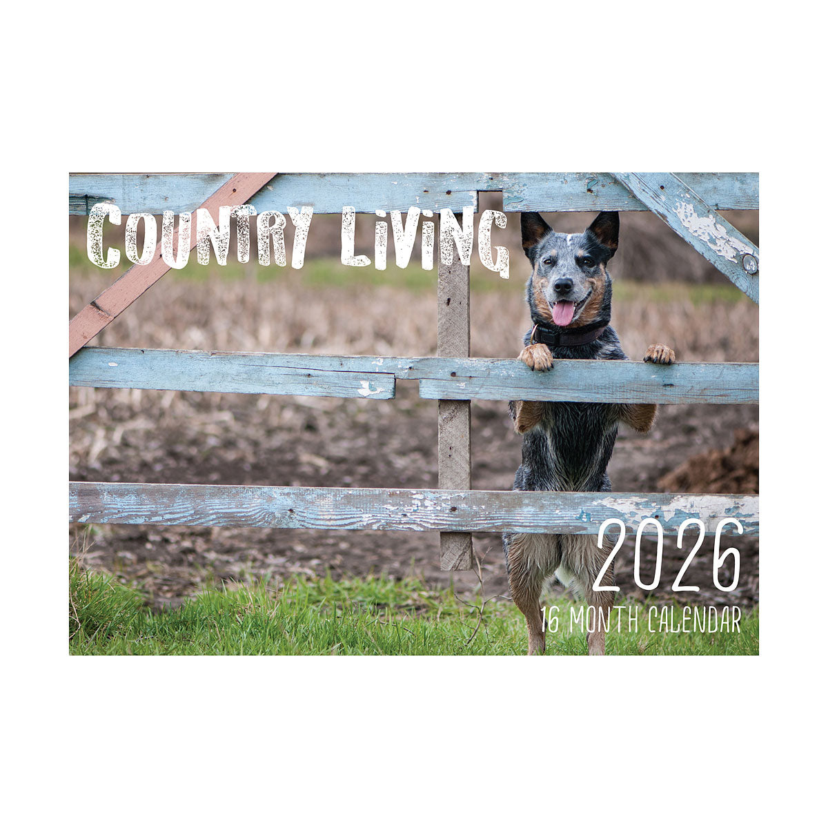 Calendar 2026 Assorted