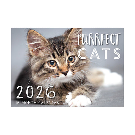 Calendar 2026 Assorted