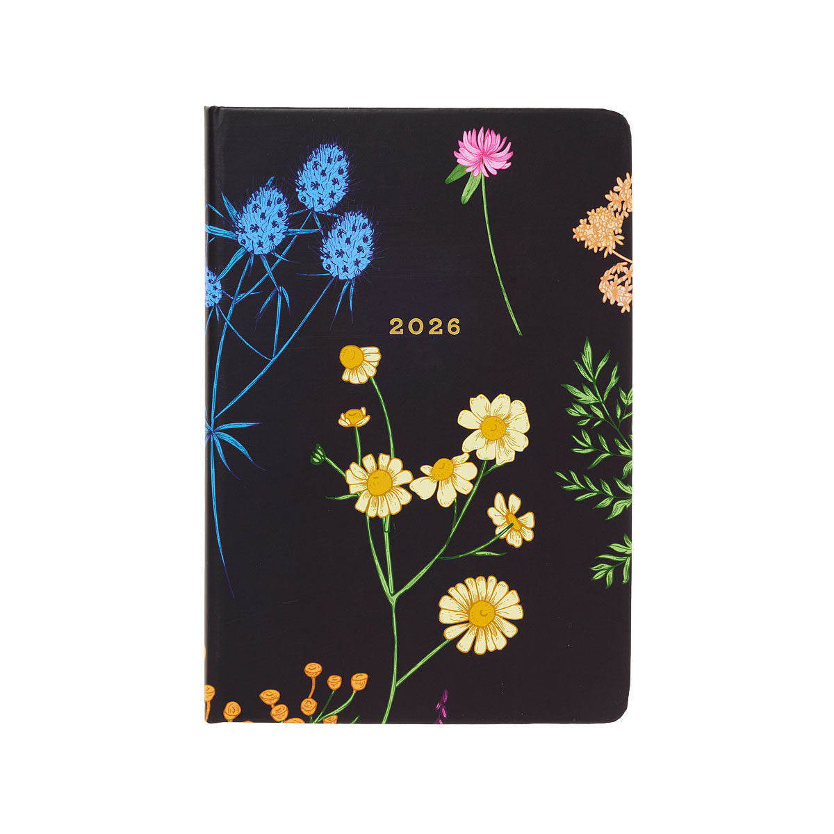 2026 A5 Diary Week-To-View Black Floral