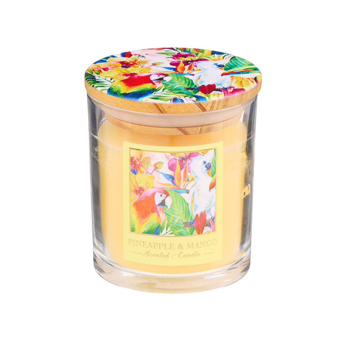 Tropical Birds Candle Assorted