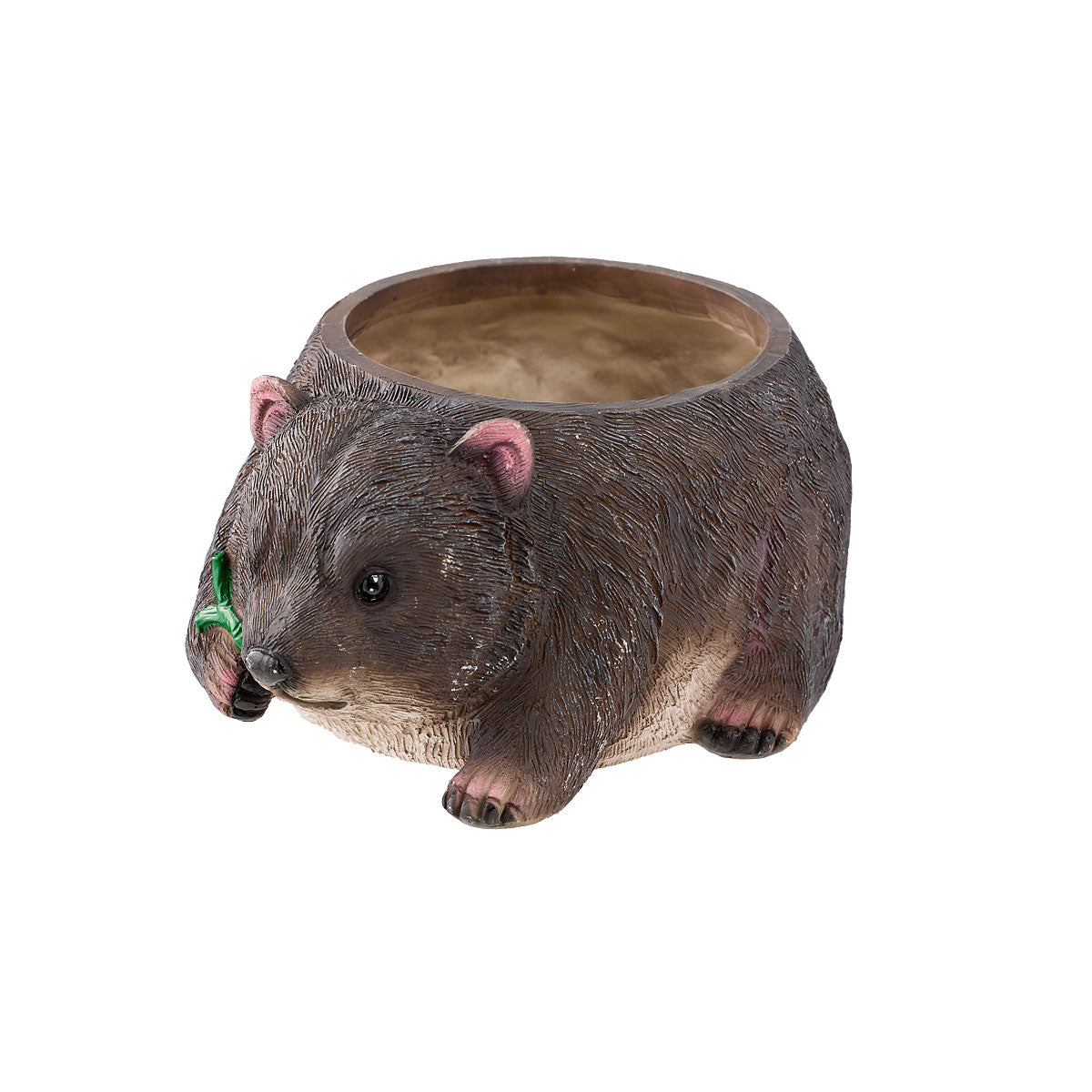 Planter Echidna/Wombat