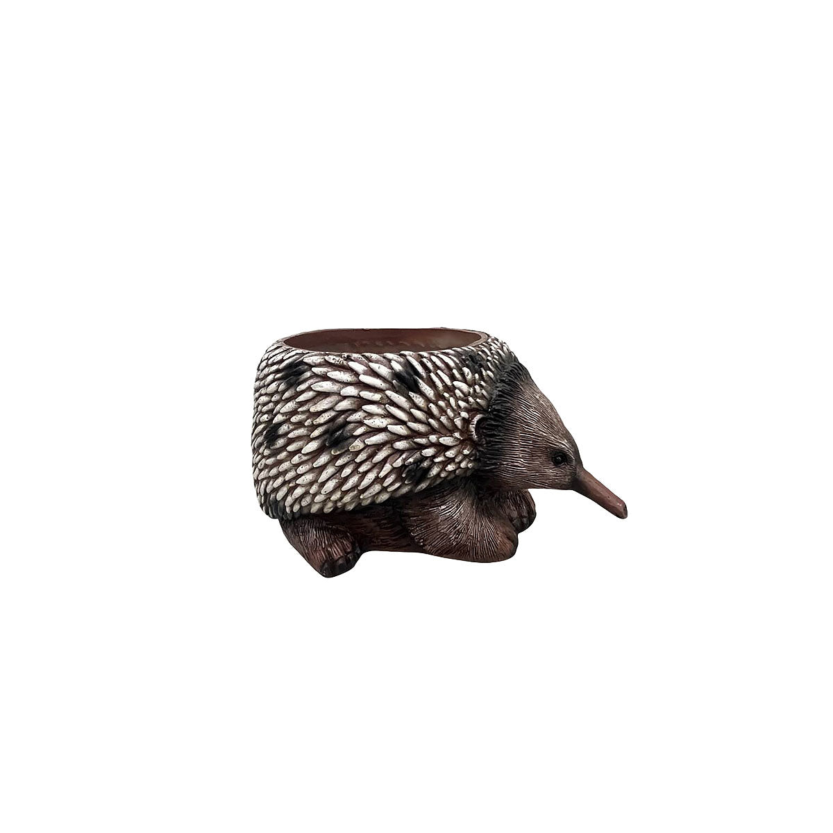 Planter Echidna/Wombat