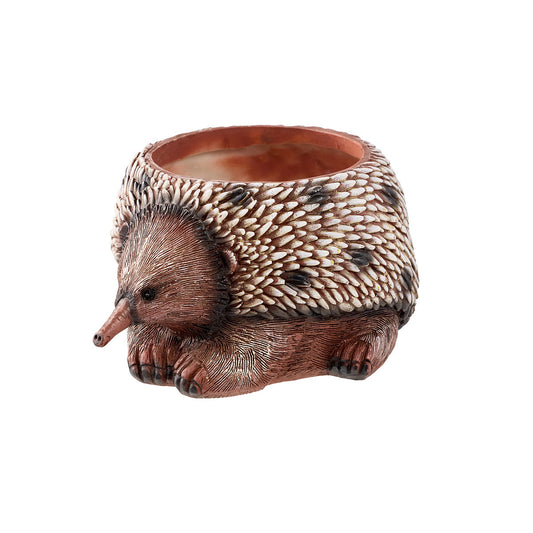 Planter Echidna/Wombat