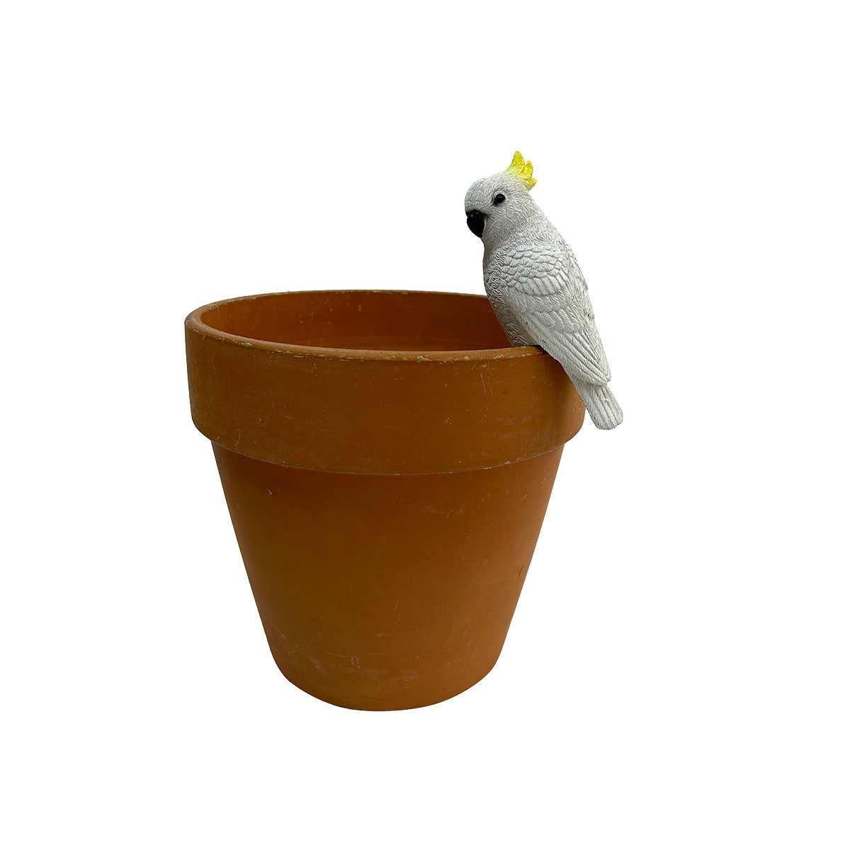 Native Bird Pot Hanger