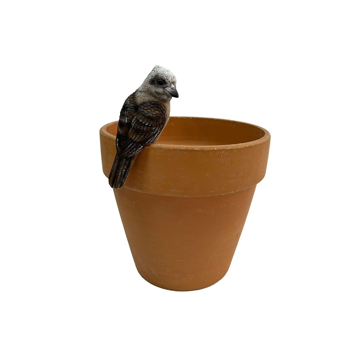 Native Bird Pot Hanger