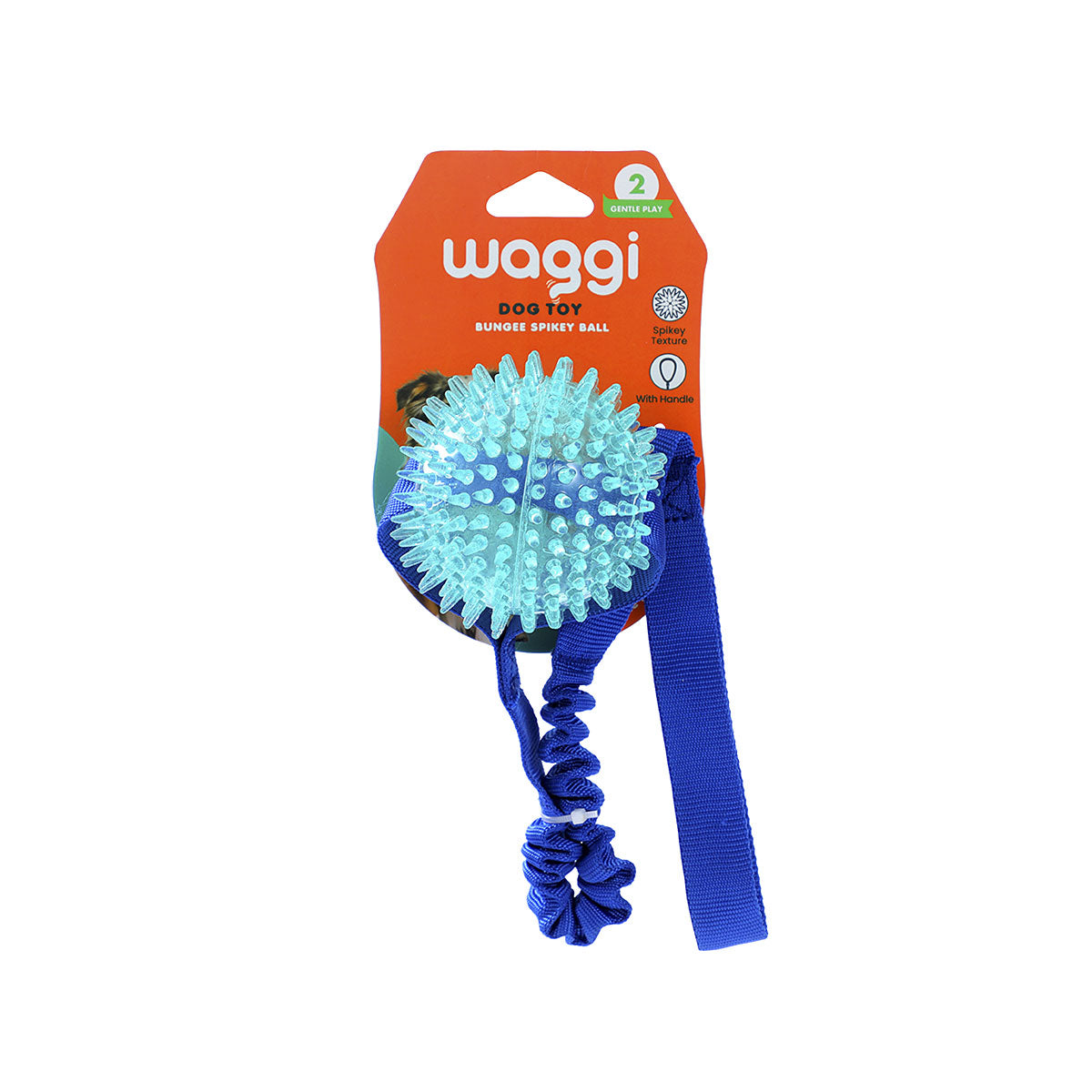 Waggi Bungee Ball Assorted
