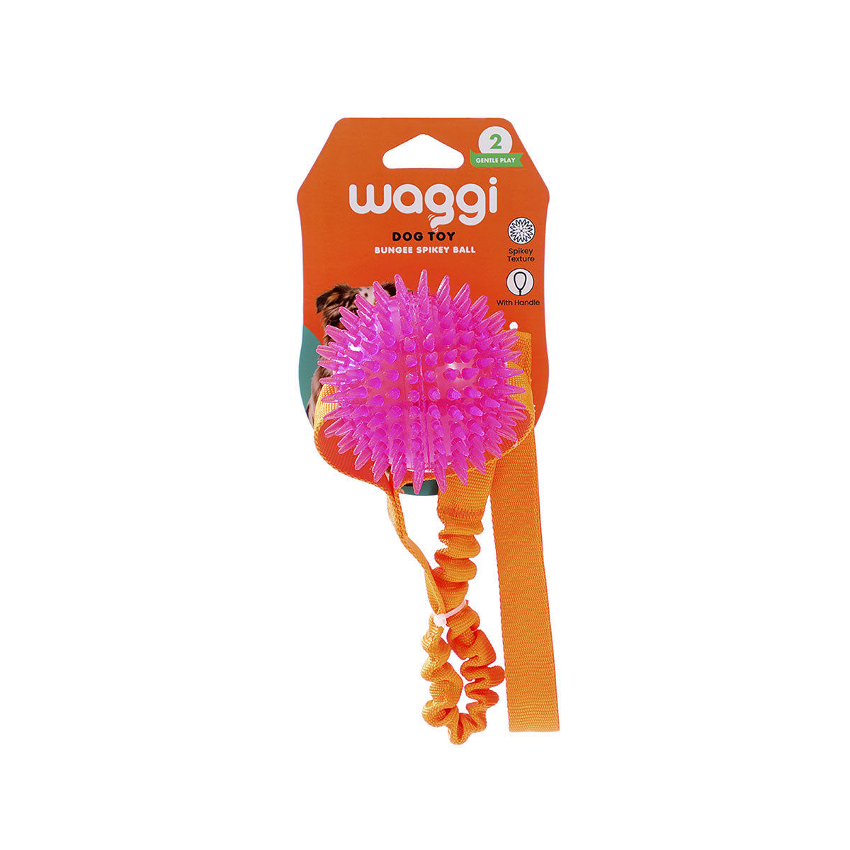 Waggi Bungee Ball Assorted