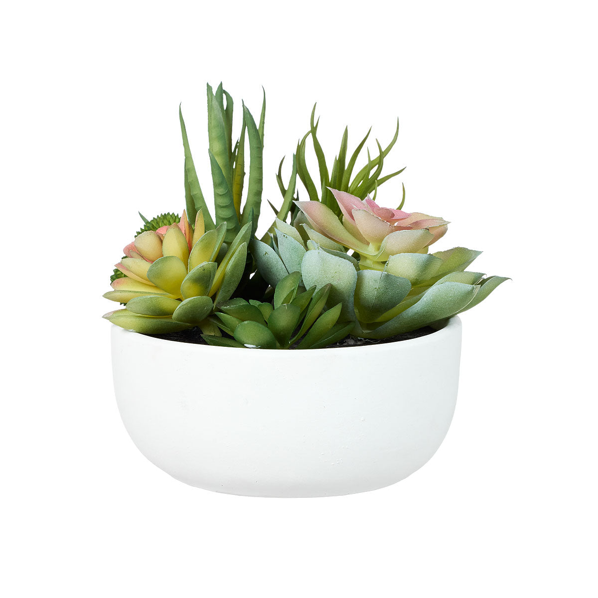 Multi Faux Succulent in Pot Black/White