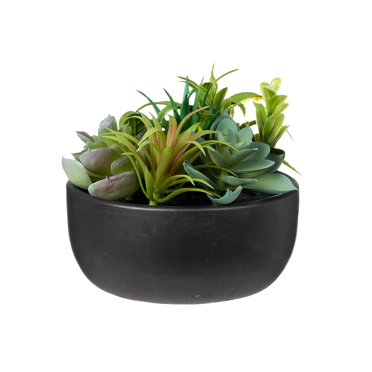 Multi Faux Succulent in Pot Black/White