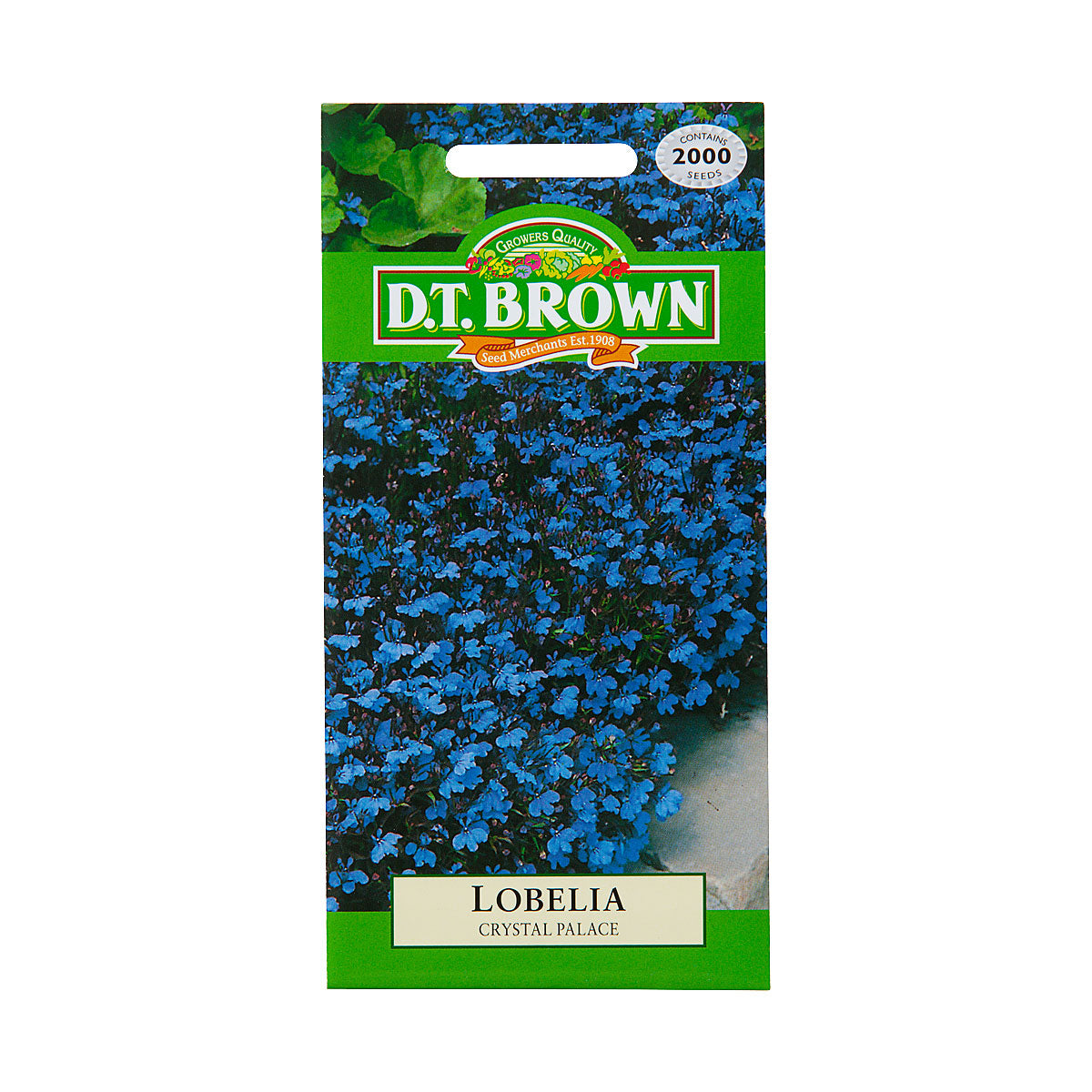 DT Brown Seeds Flowers Assorted