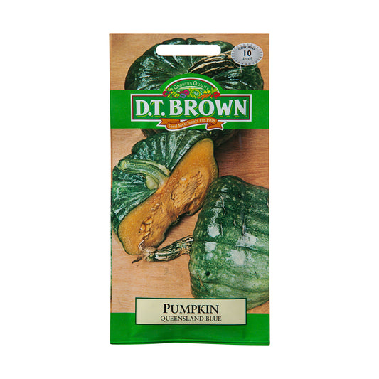 Dt Brown Queensland Blue Pumpkin Seeds 10pc