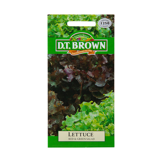 Dt Brown Red & Green Salad Lettuce Seeds 1250pc