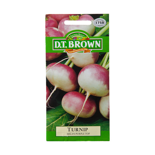 Dt Brown Milan Purple Top Turnip Seeds 1750pc