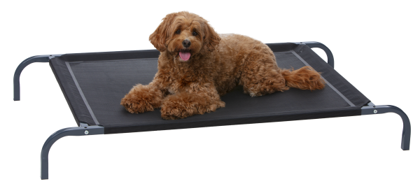 Metal Frame Pet Bed Large