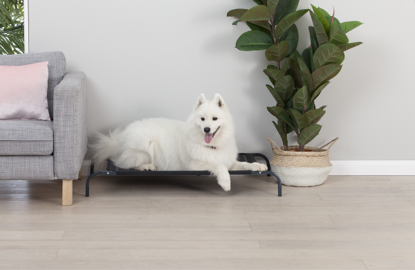 Metal Frame Pet Bed Large