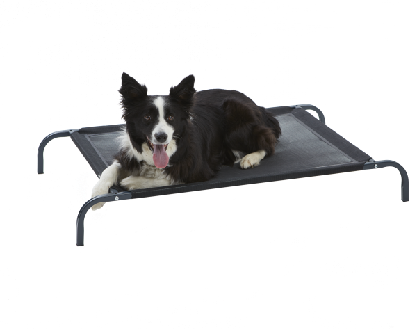 Metal Frame Pet Bed Large