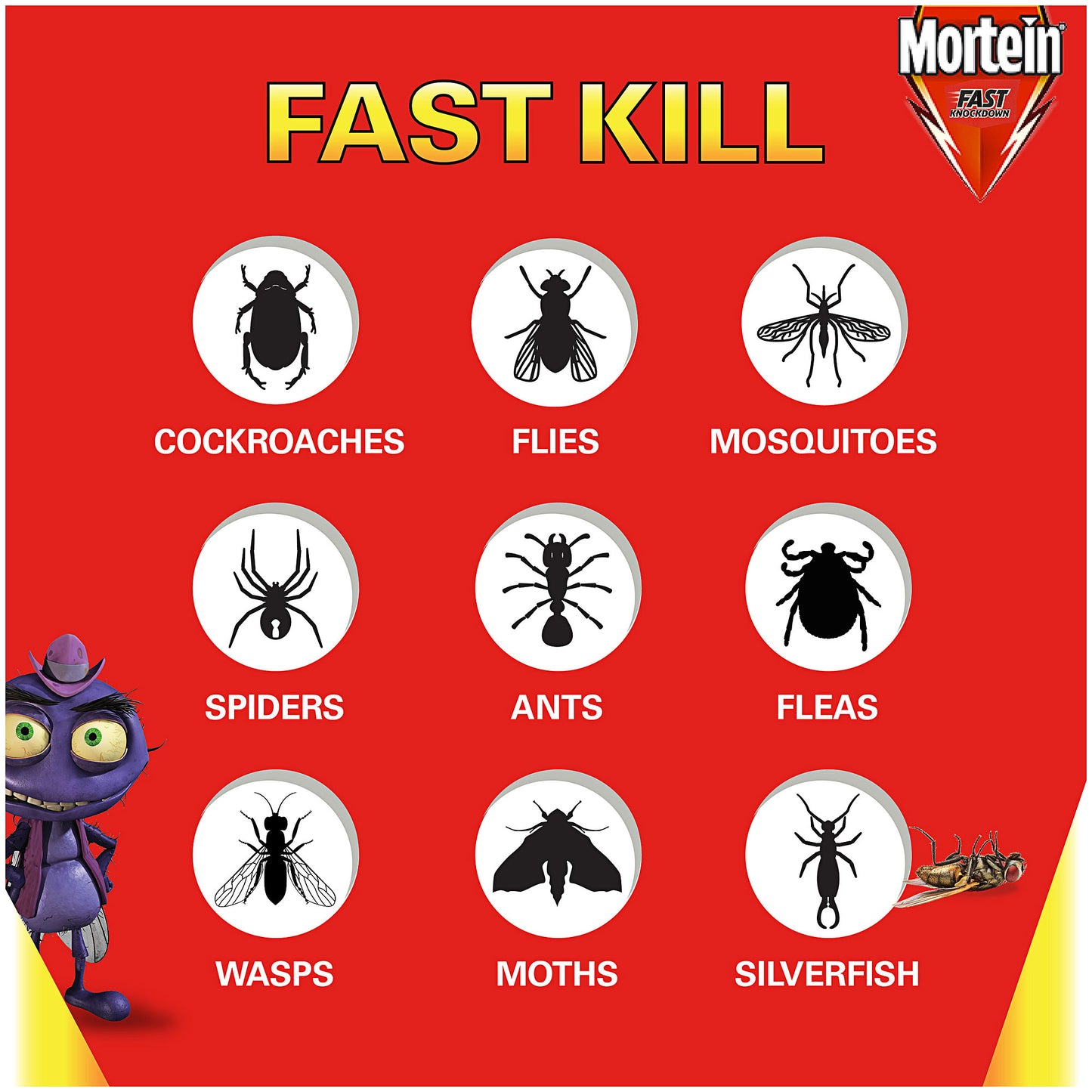 Mortein Fast Knockdown Multi Insect Killer 300g 2pk