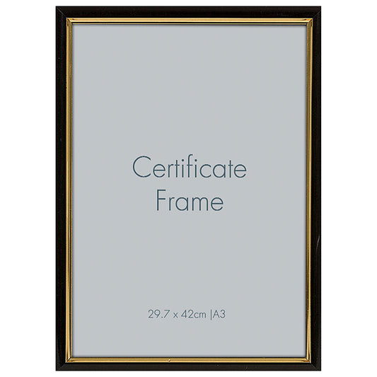 Memory Lane Certificate Frame A3