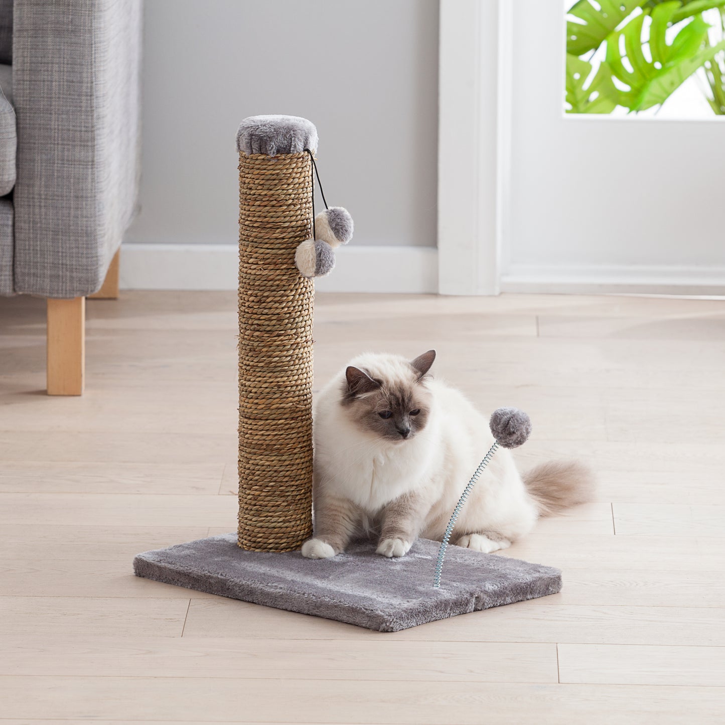 Cat Scratcher 53.5cm