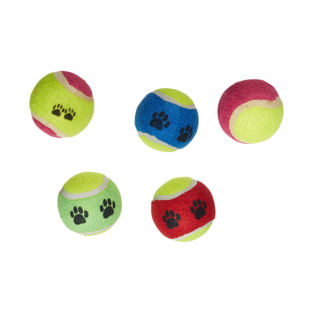 G2 Pet Tennis Ball 5pk