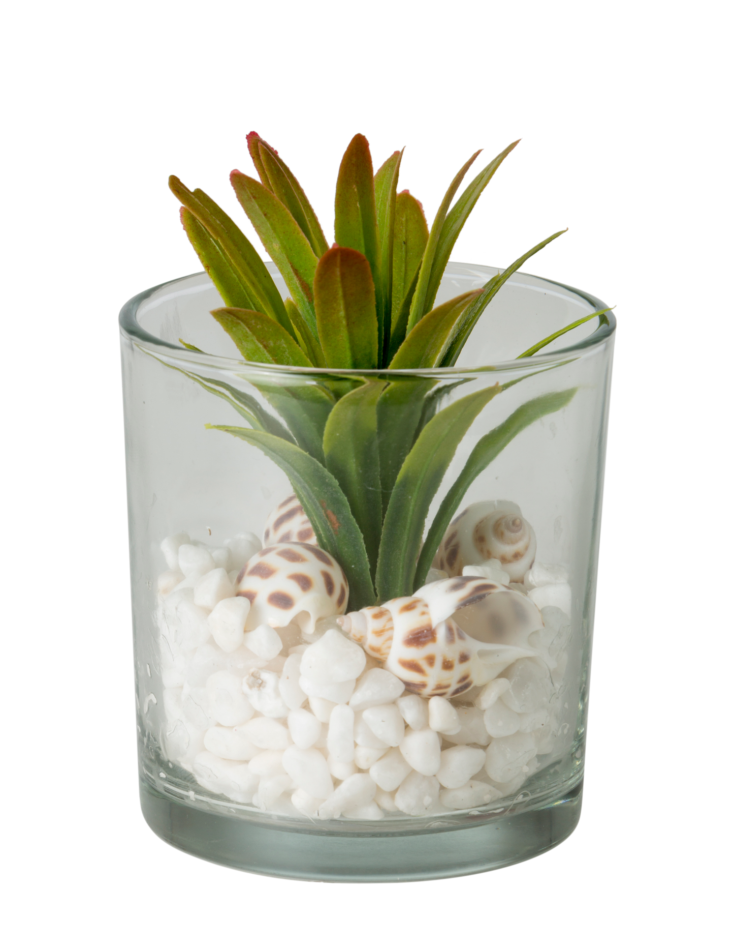 Faux Succulent With Stones In Glass 10cm