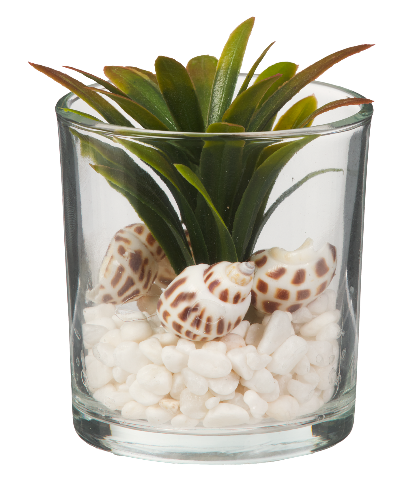 Faux Succulent With Stones In Glass 10cm